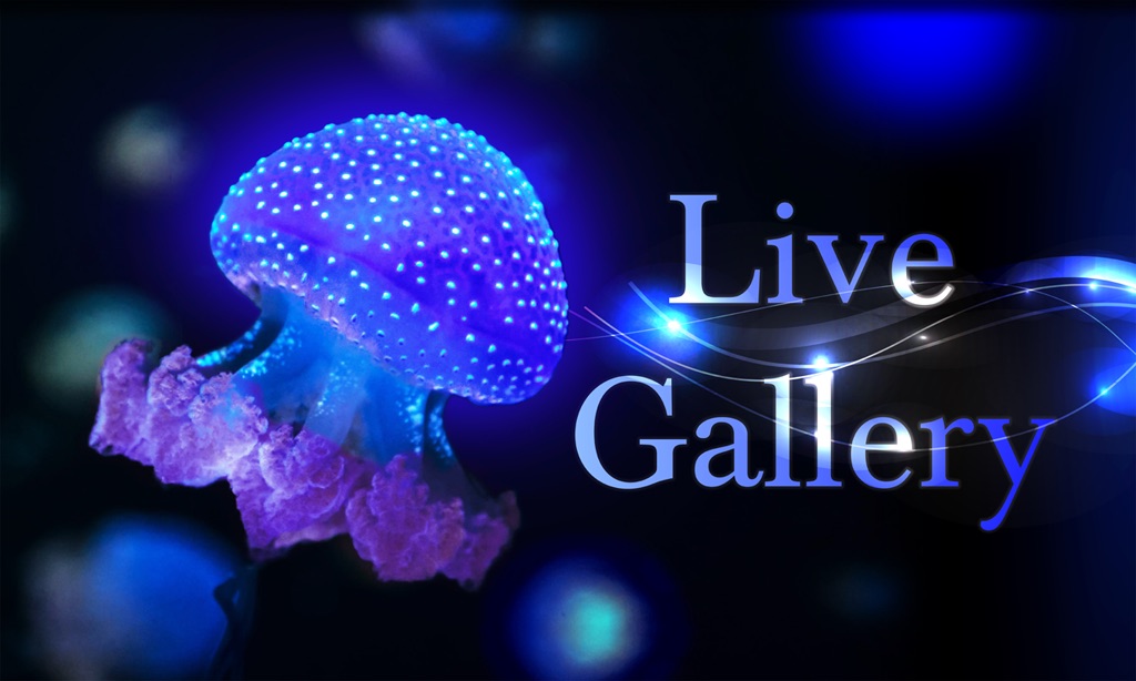 Live Gallery - Nature Screen Display - App by LANDKA